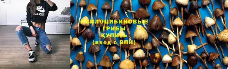 Галлюциногенные грибы Magic Shrooms  darknet Telegram  Тюкалинск 